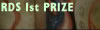 1st Prize